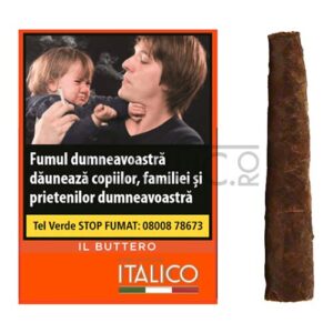 ambasciator-italico-giallo-buttero-5