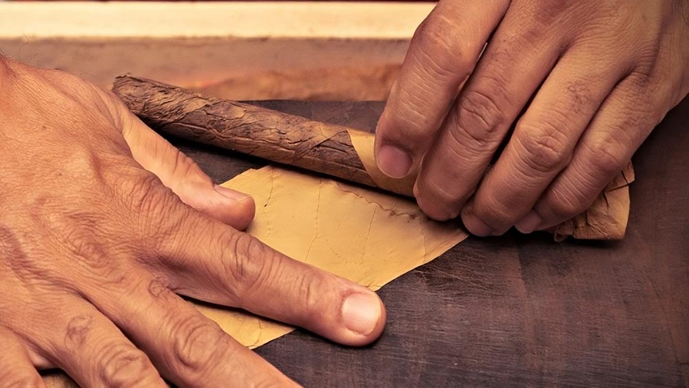 rularea unui trabuc cu foi de tutun