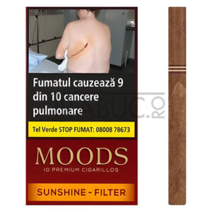 tigari-de-foi-moods-sunshine-filter-10