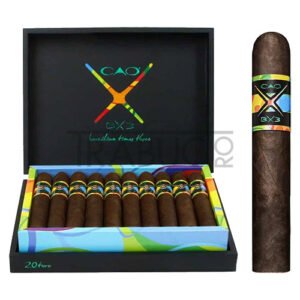 cao-bx3-toro-20