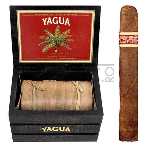 Trabucuri Yagua Toro de origine Nicaragua de tarie medie cu invelis Connecticut Broadleaf