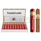 Trabucuri Bolivar Royal Coronas ambalate individual in tub de protectie